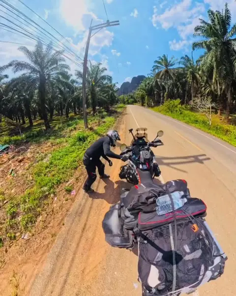 La KTM Commando sur une route bordée de palmiers en Thaïlande
